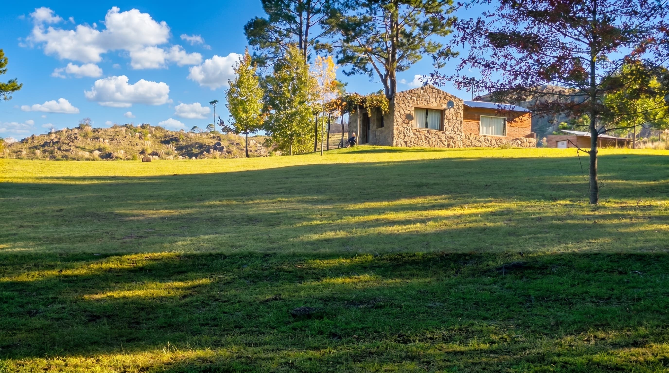 Lote 10