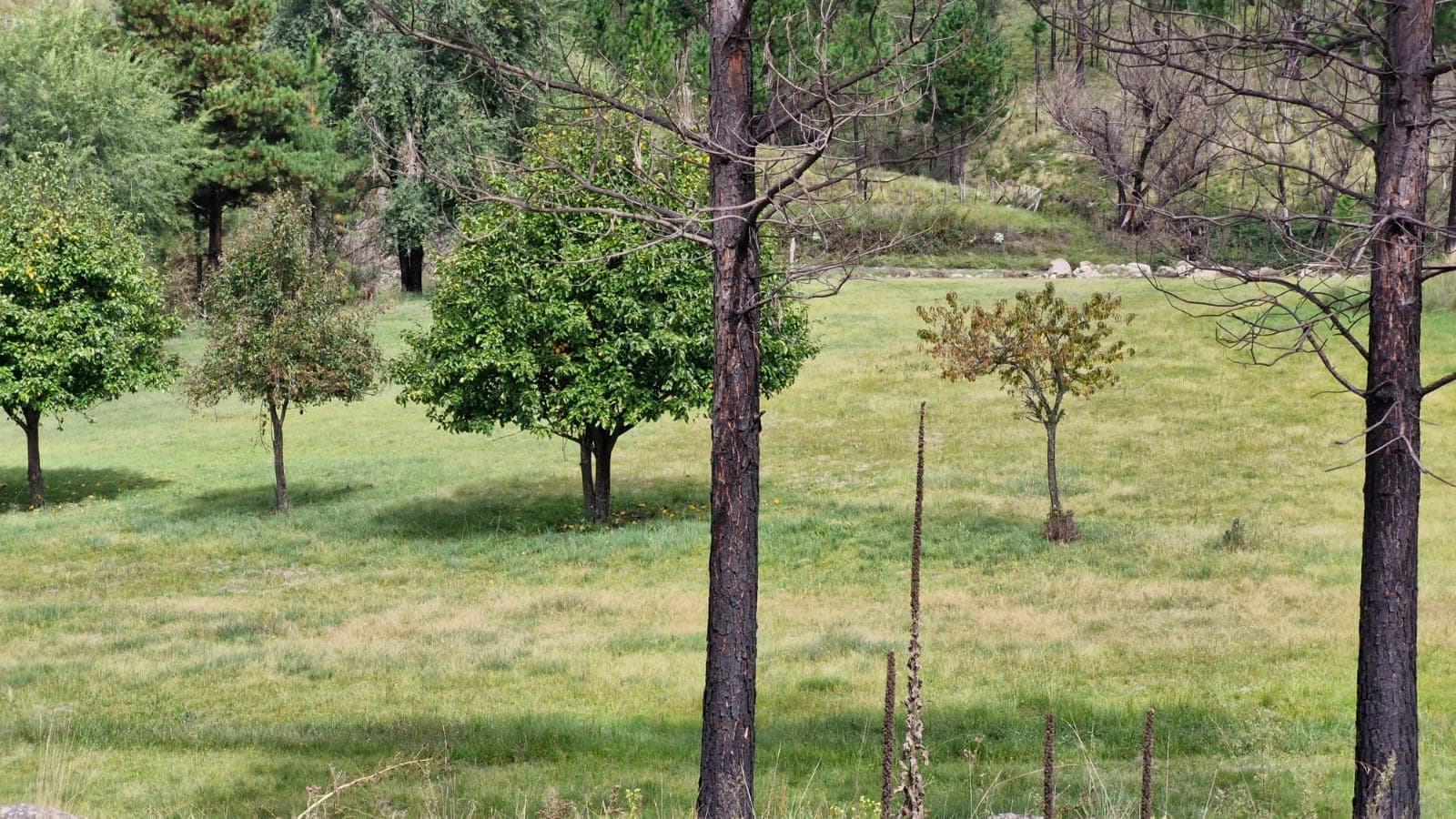 La Montaña - foto