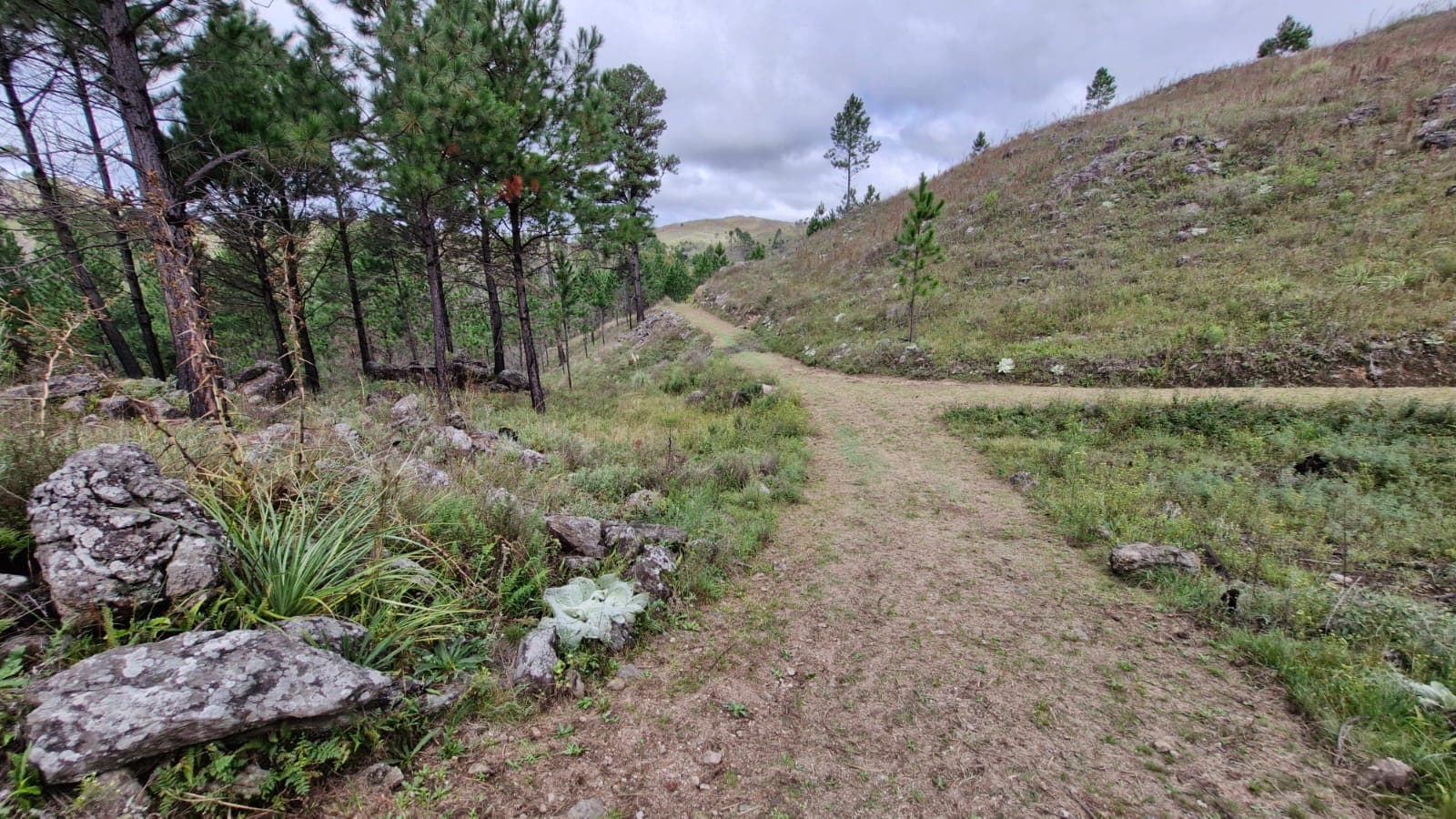 La Montaña - foto