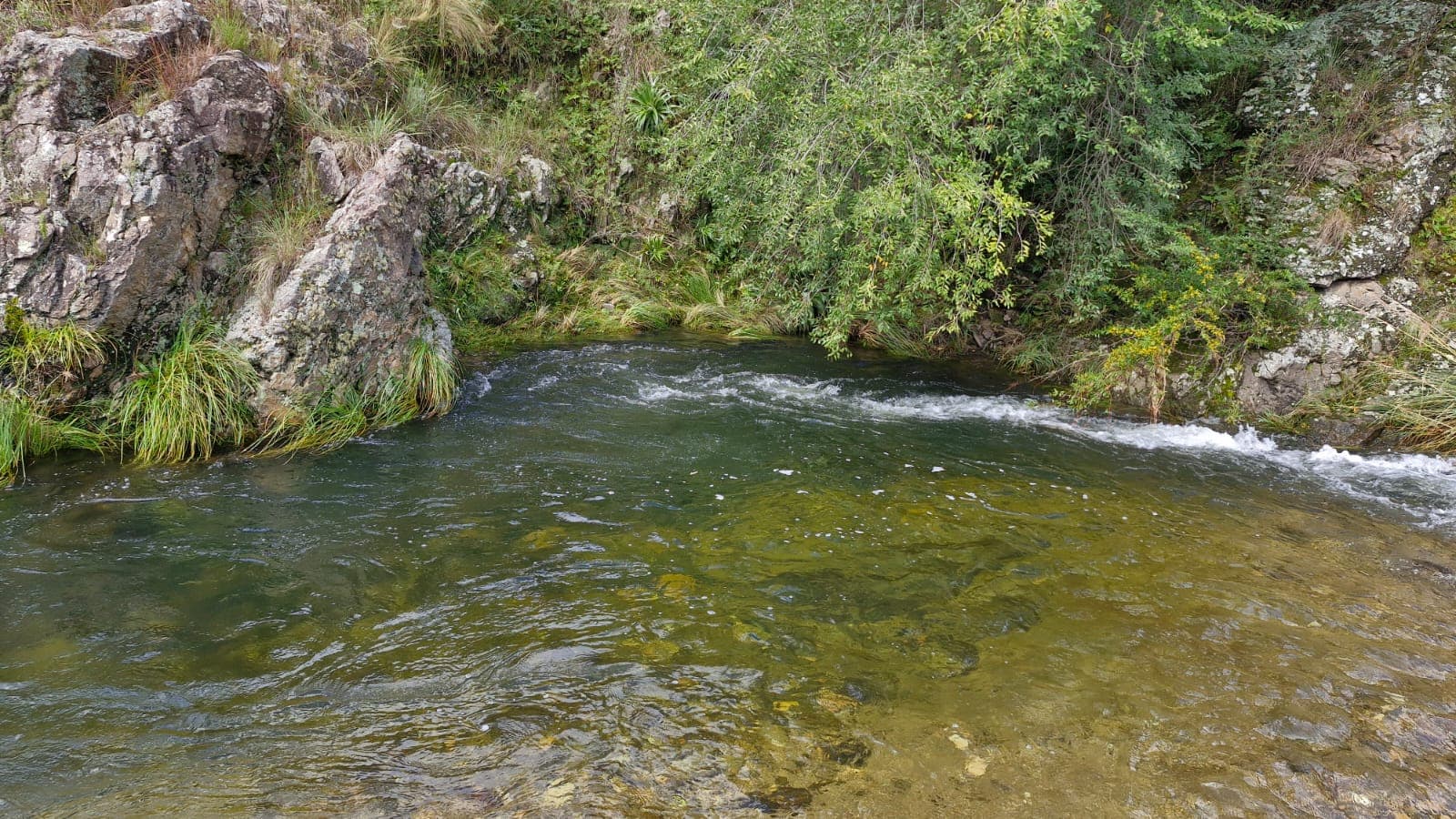 La Montaña - foto