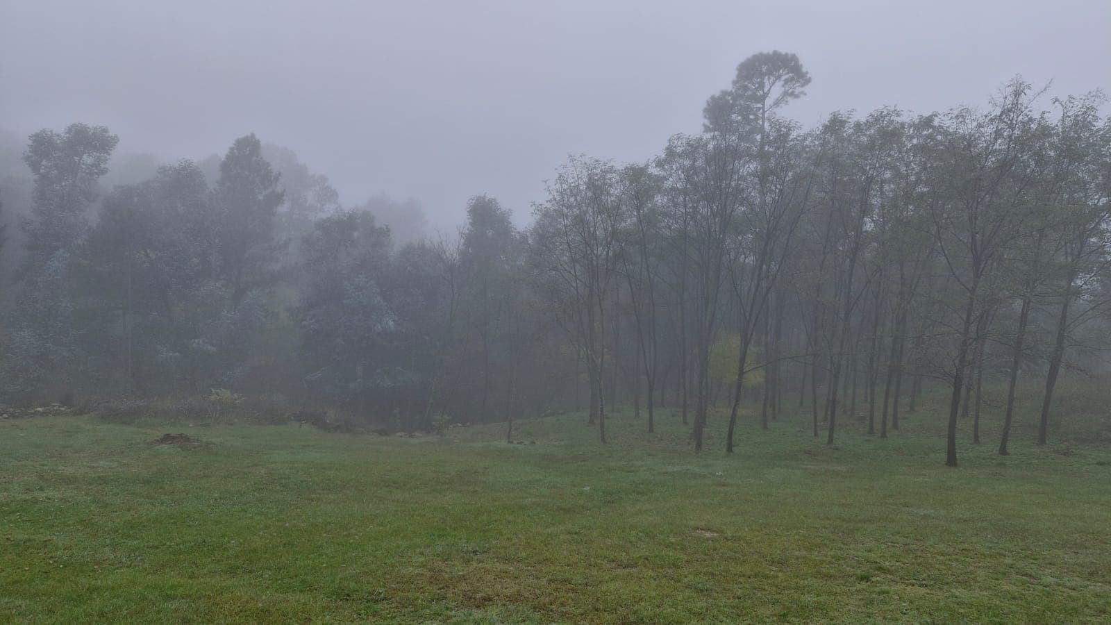 La Montaña - foto