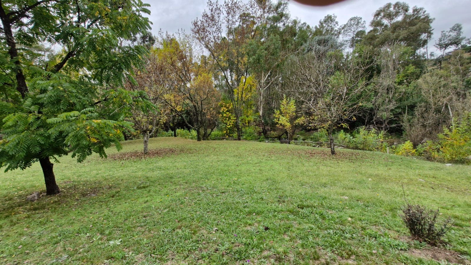 La Montaña - foto